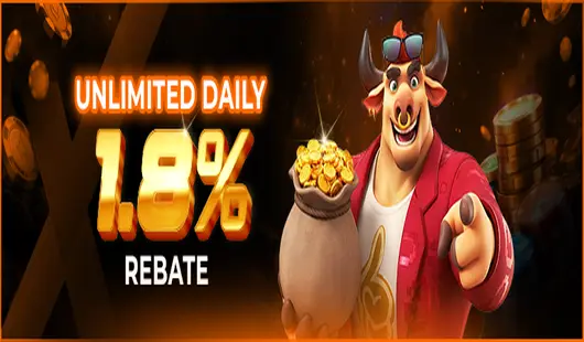 PlayX daily cashback